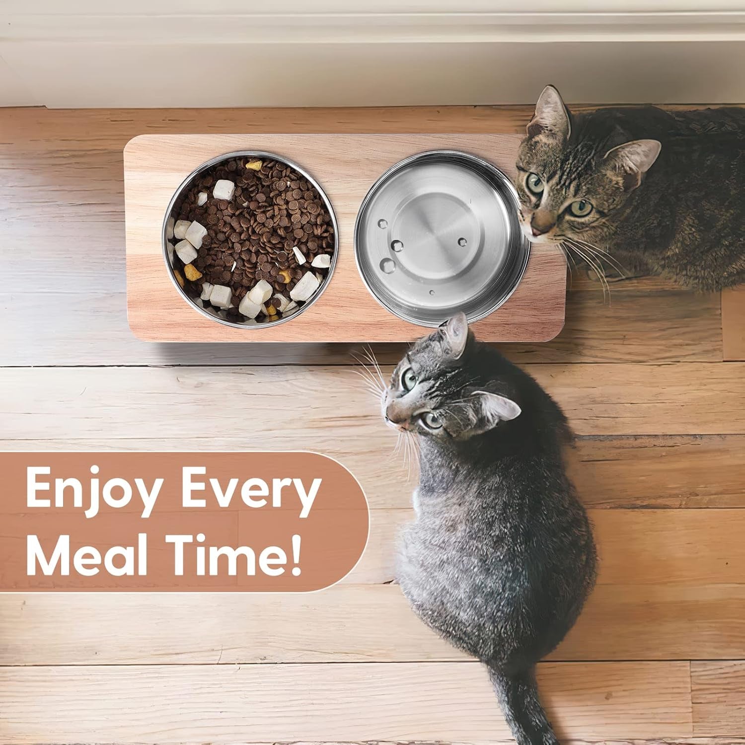 Elevated Cat Bowls, 15° Tilted Raised Cat Food Bowls Wood Pet Bowls with Stand anti Vomiting 2 Stainless Steel Bowls for Cats and Puppy