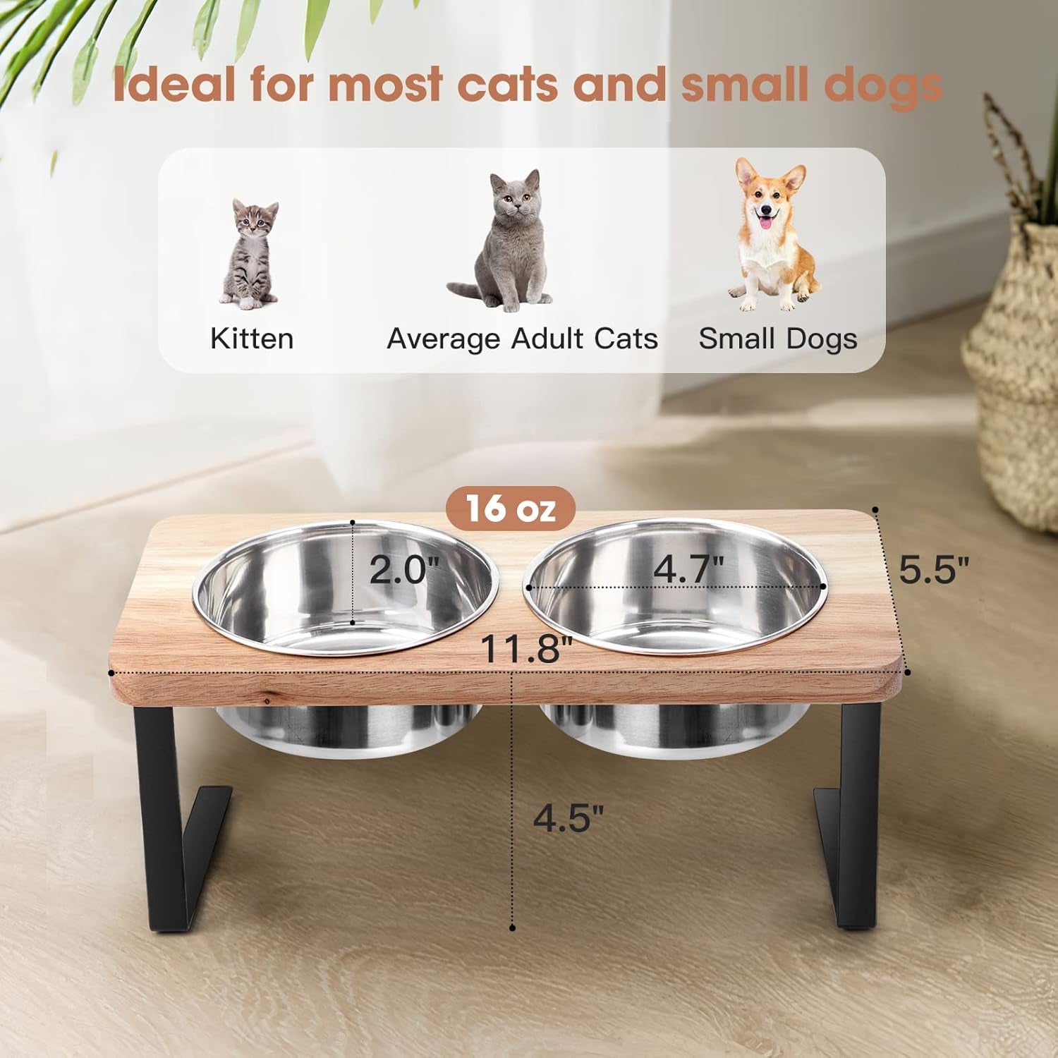 Elevated Cat Bowls, 15° Tilted Raised Cat Food Bowls Wood Pet Bowls with Stand anti Vomiting 2 Stainless Steel Bowls for Cats and Puppy